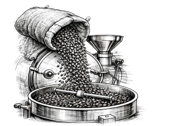 Saco de café volcandose en tolva
