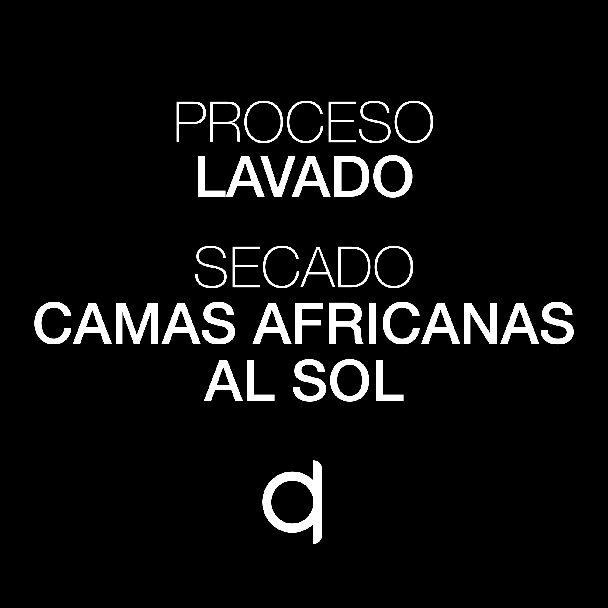 ESP-MP-Cataquilles-Proceso y Secado Cataquilles Proceso y Secado