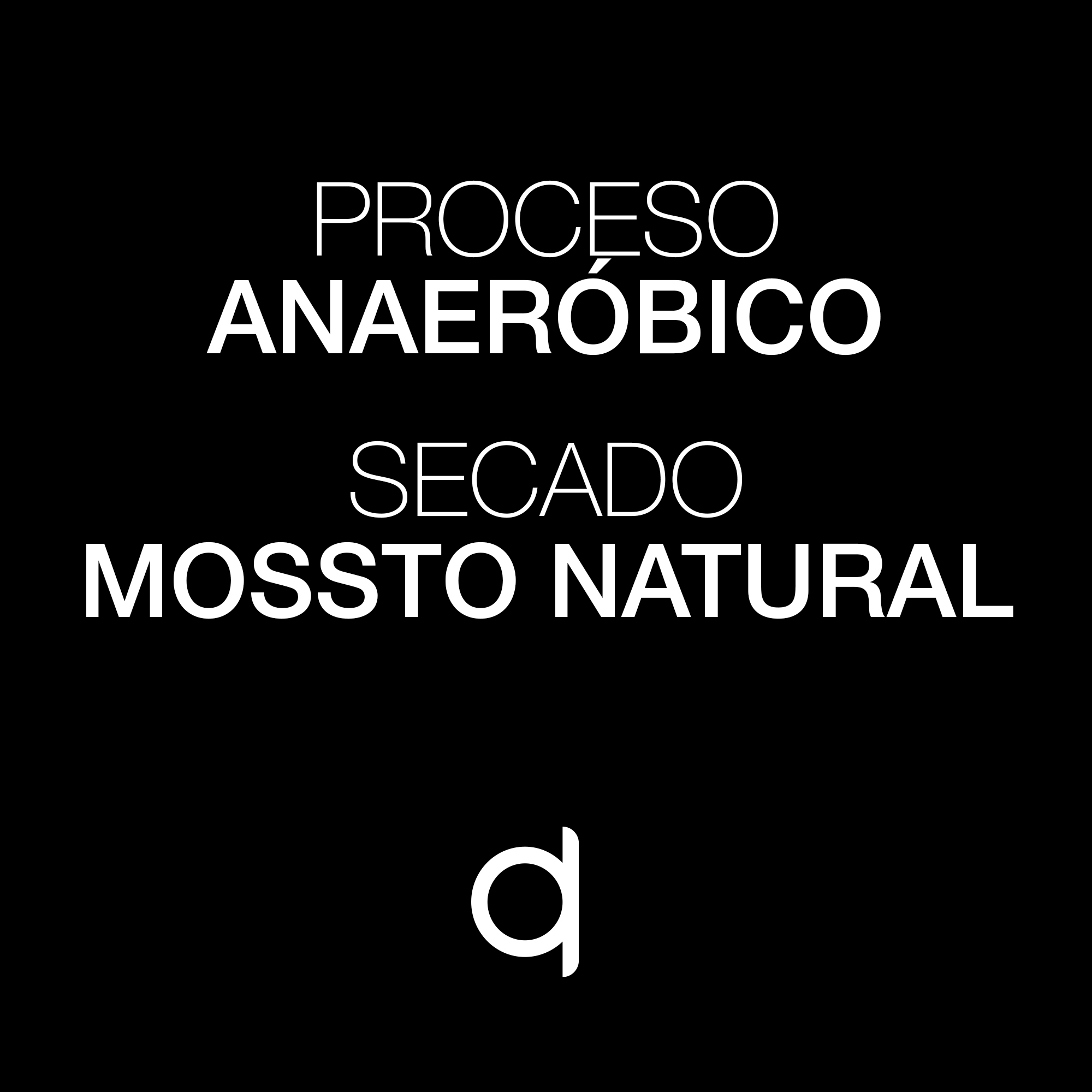 ESP-MP-Montecillos-Proceso y Secado Montecillos Procesos y Secado