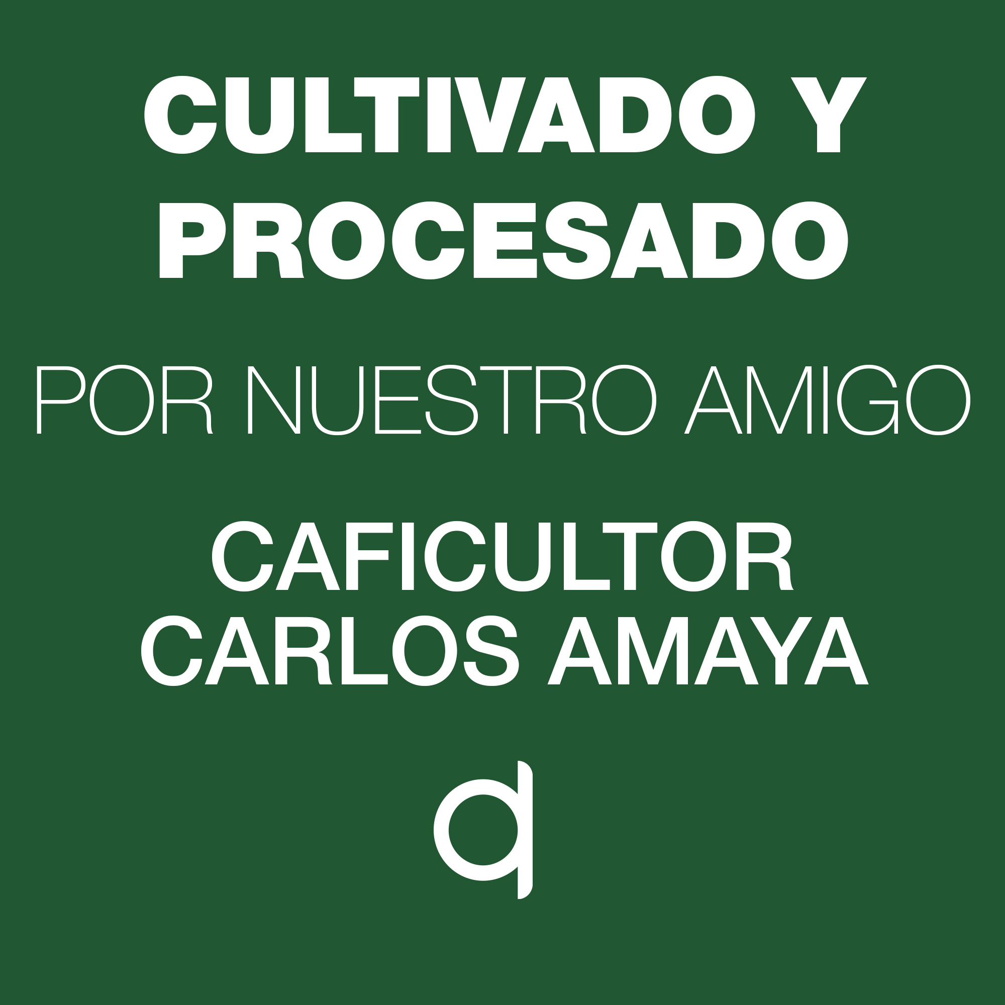 ESP-MP-Opatoro-Cultivado Opatoro Cultivado