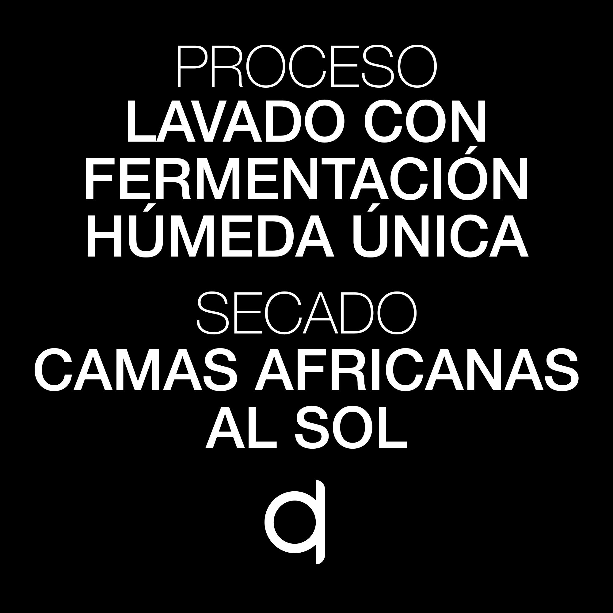 Café Unión kata Maduga