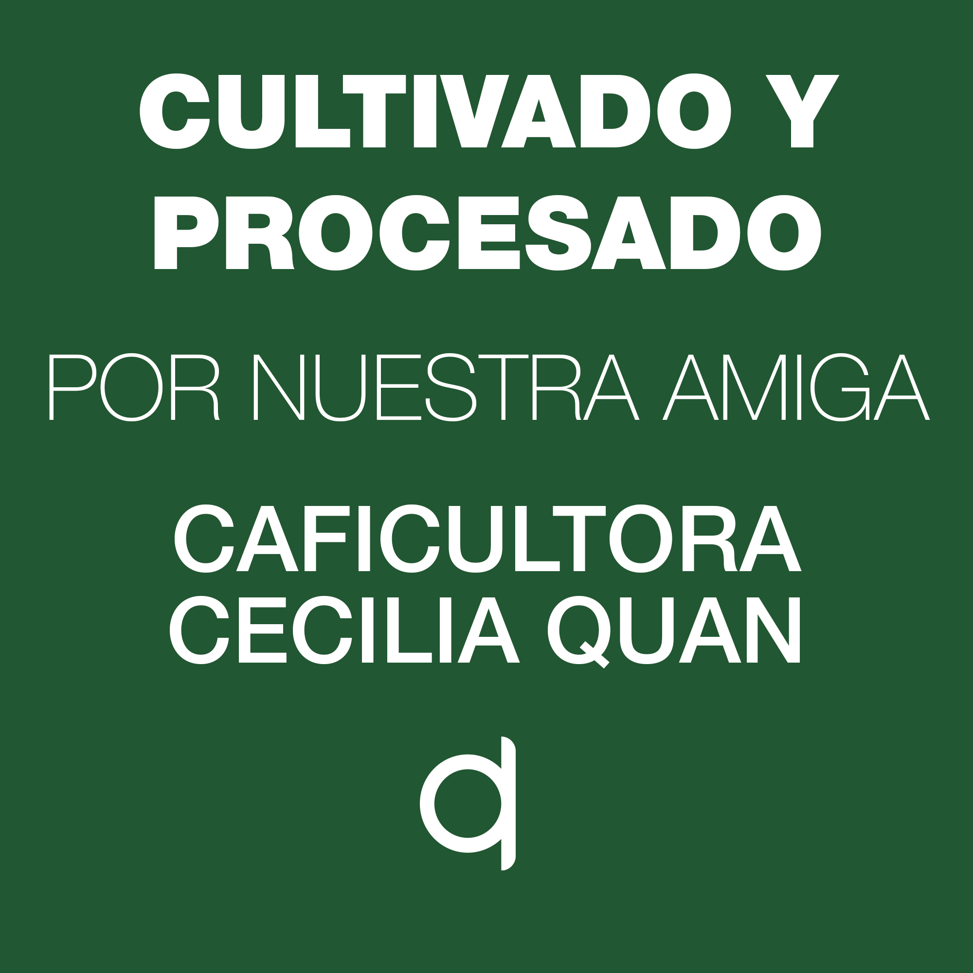 ESP-MP-Yucazapa-Cultivado Yucazapa Cultivado