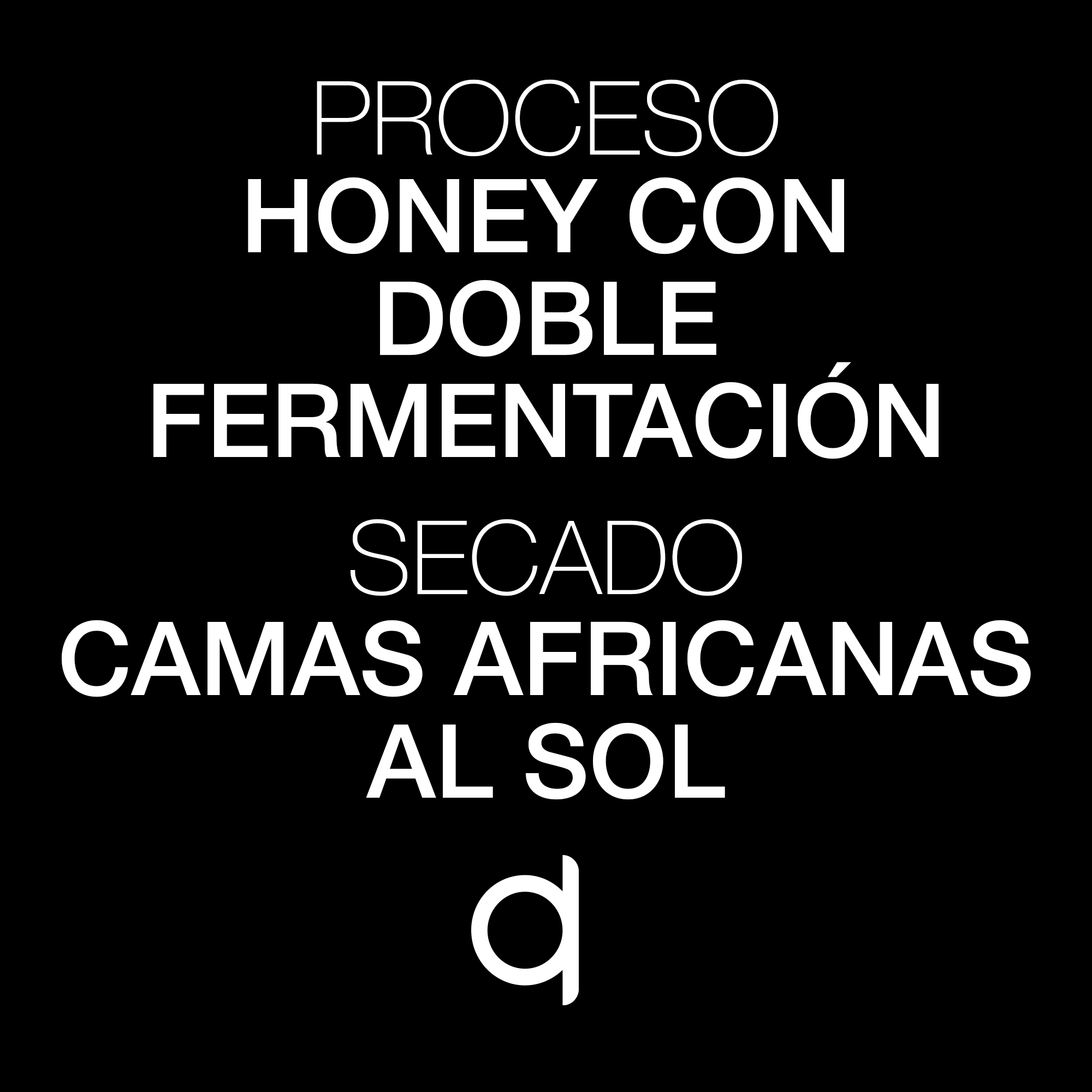 ESP-MP-Yucazapa-Proceso y Secado Yucazapa Proceso y Secado