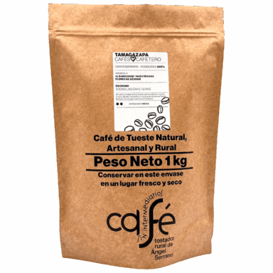 Tamagazapa Portada Sin Fondo