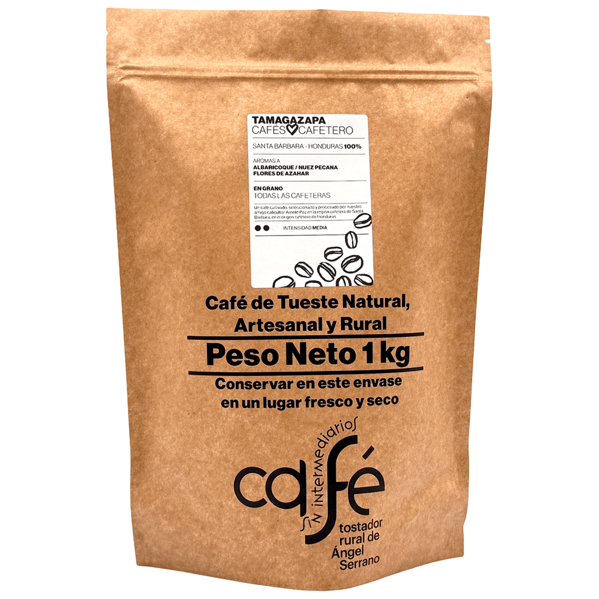 Tamagazapa Portada Sin Fondo Tamagazapa Portada Sin Fondo