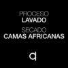 Adey Abeba-Proceso y Secado