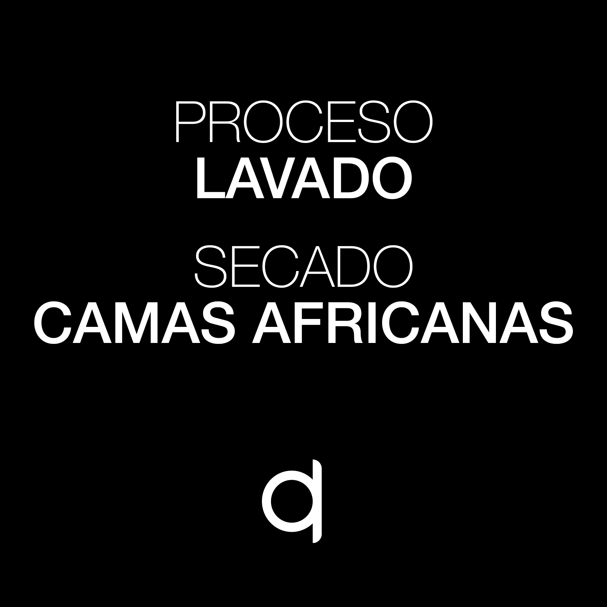 Adey Abeba-Proceso y Secado