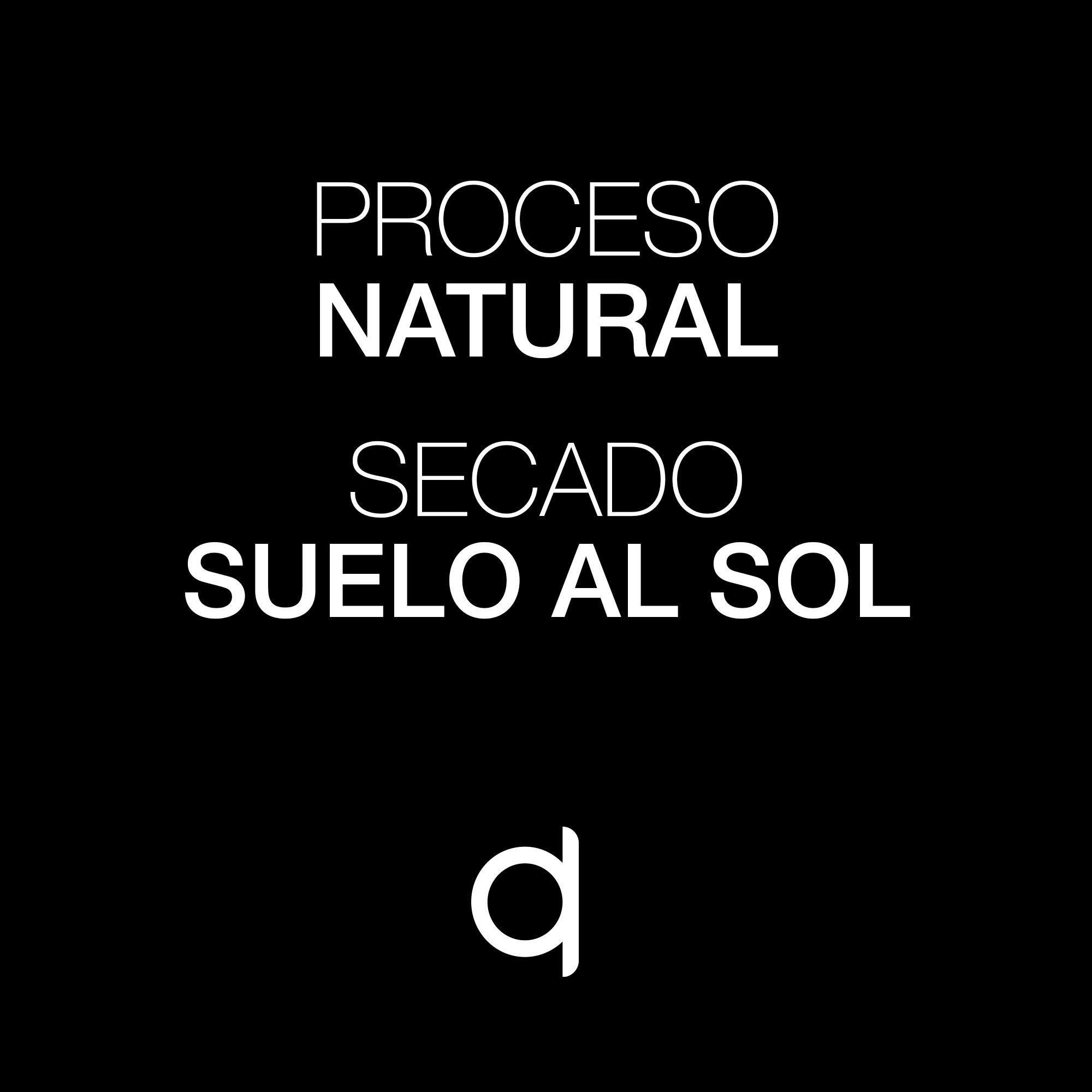 Albus-Proceso y Secado