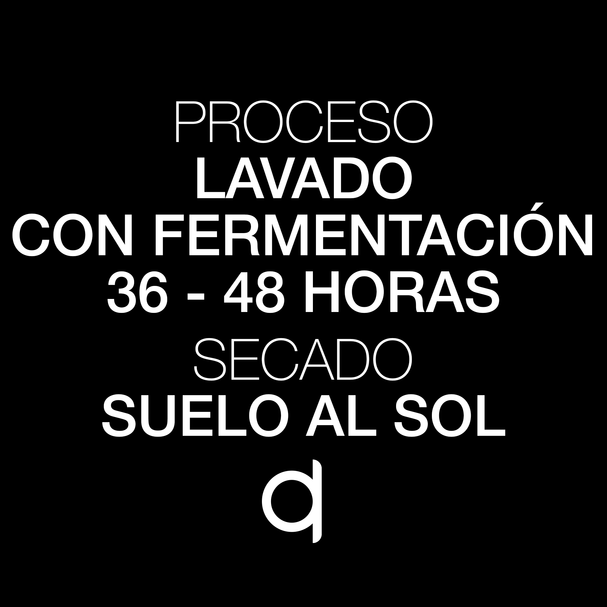 ESP-MP-Lycaste-Proceso y Secado Lycaste-Proceso y Secado