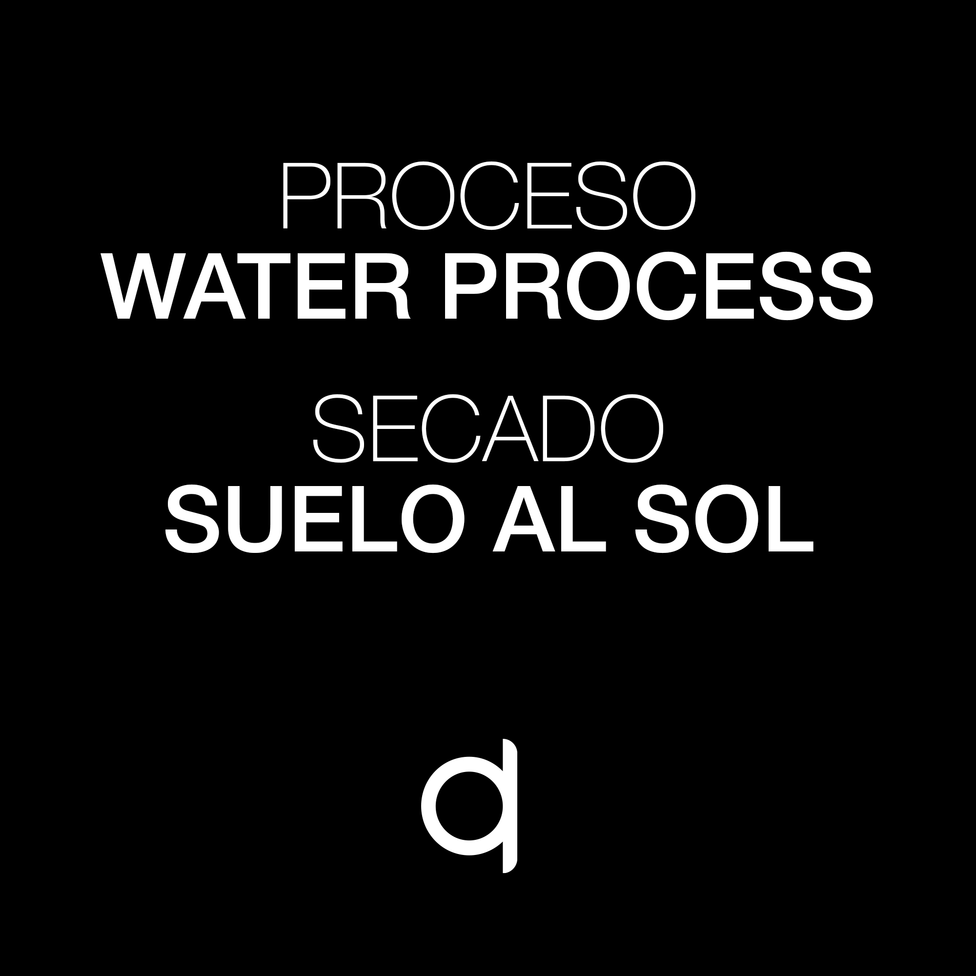 MP-Amigo-Proceso y Secado