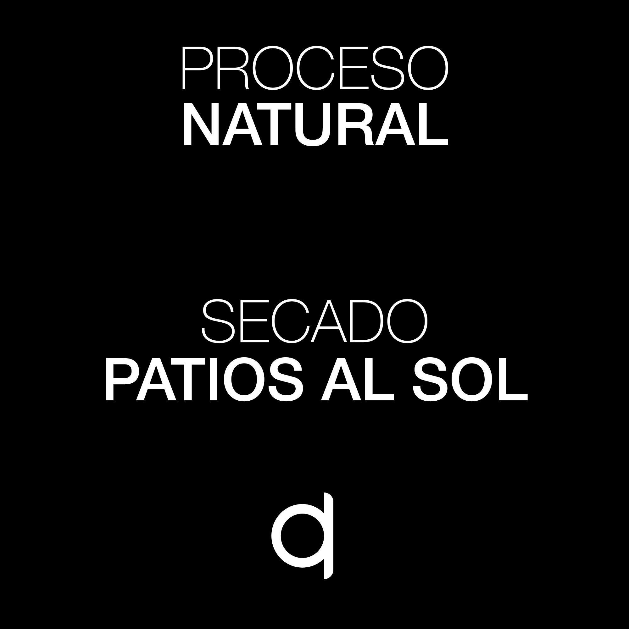 ESP-MP-Hoa Mai-Proceso y Secado ESP-MP-Hoa Mai-Proceso y Secado