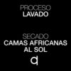 ESP-MP-Jaleo-Proceso y Secado