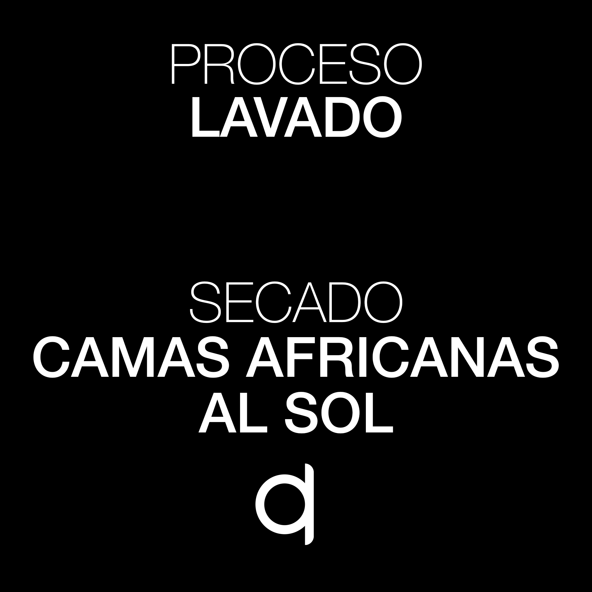 ESP-MP-Jaleo-Proceso y Secado