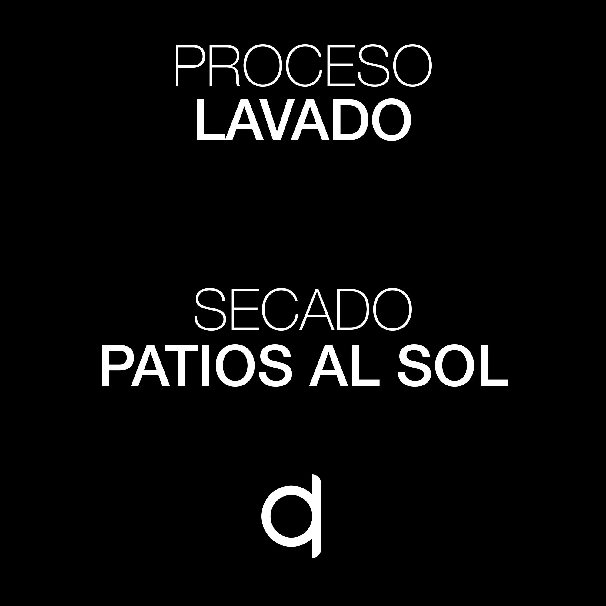 ESP-MP-Jarana-Proceso y Secado
